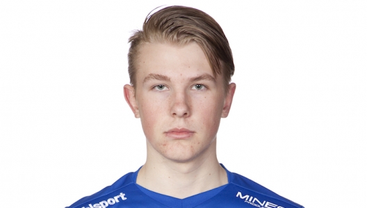 Artikelbild